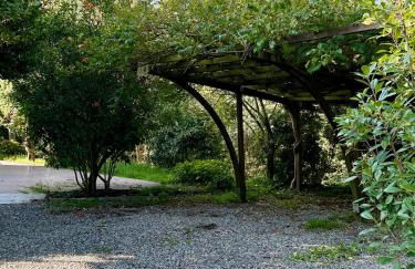 ReBeeApartments - apt 1 - Foto 2