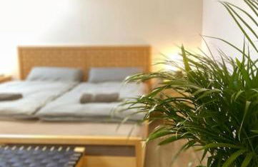 P6 - Familienwohnung am Park und Saale - Foto 21