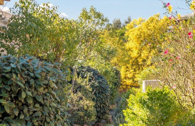 Les Hameaux de Santa Giulia - Foto 50