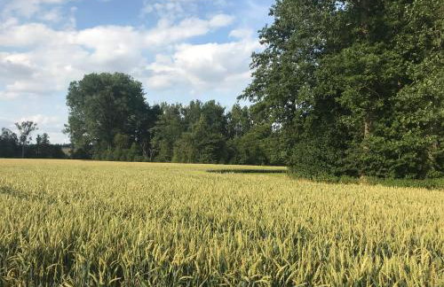 Landgut zur Mühle - Foto 44