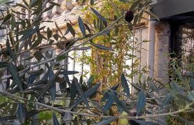 Le Clos du rouet - Foto 6