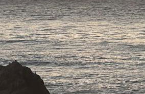 Stunning SanFran Casa close to Center and steps from Ocean - Foto 56