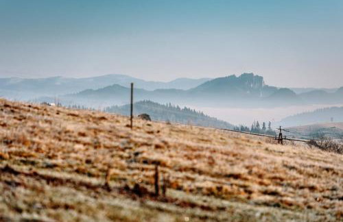 Houten Villa "ReisnaarPolen" Royaal ontbijt tevens Gluten Lactose vrij, Vega en diner mogelijk, sauna en Hottub - Foto 39