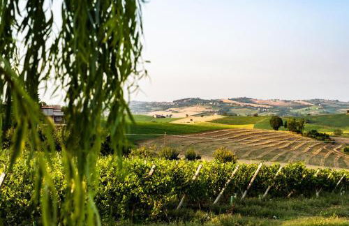 TENUTA MONVILLONE COUNTRY HOUSE & RESTAURANT - Foto 73