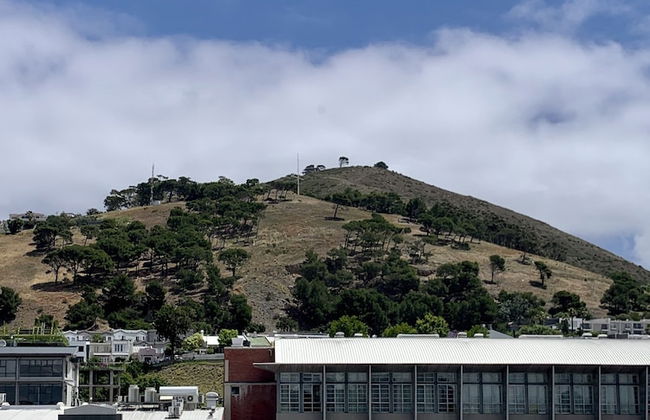 Urban Elephant At The Docklands - Foto 30