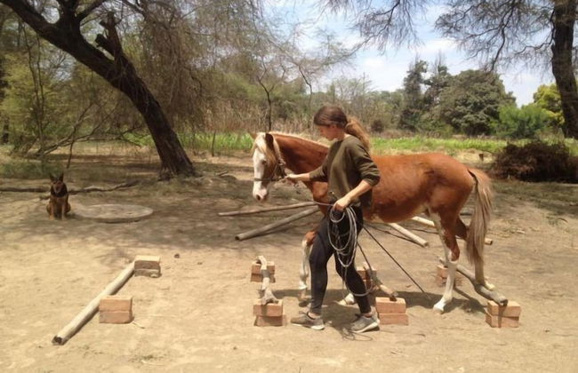 Rancho Santana Peru - Photo 13