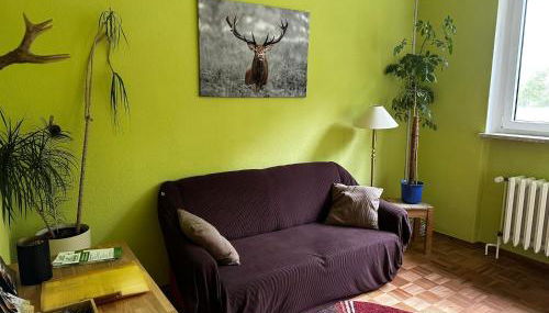 Wildpark Johannismühle - Foto 4