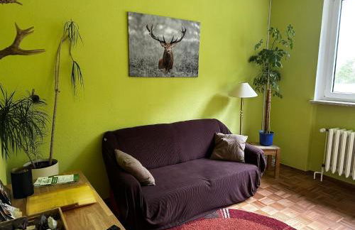 Wildpark Johannismühle - Foto 4