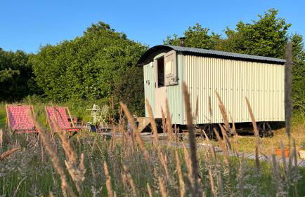 Caban Bryn Arw - Foto 30