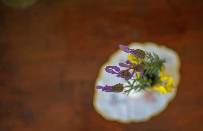 Isola dei Calanchi - Foto 43