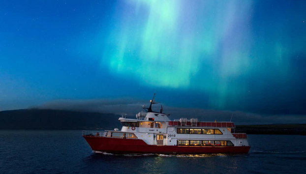 Northern Lights Cruise in Reykjavík - Photo 2, Sail under the magical northern lights in Iceland