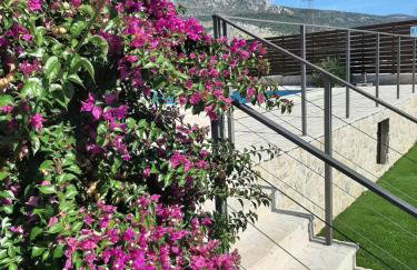 House FoRest - Foto 36