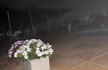 Chalés do Abraão - Foto 48