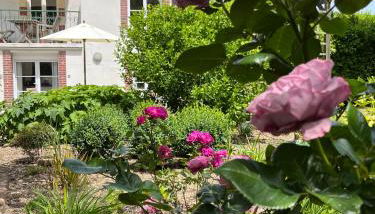 Studio GîTE COSY sur Jardin - Foto 1