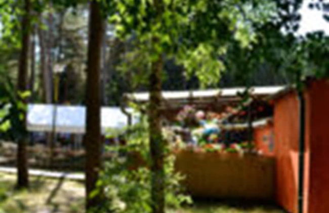 Feriensiedlung Schwalbennest - Foto 20