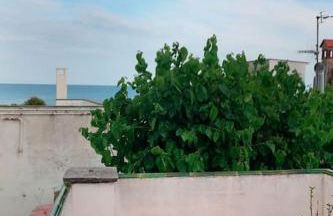 Charming house in Sant Pol facing the sea - Foto 25