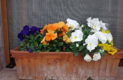 Apartamentos Rurales Kastonea - Foto 14