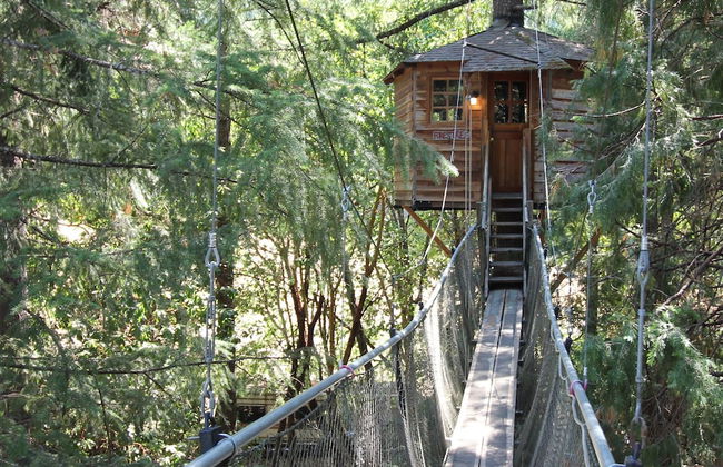 Out 'N' About Treehouse Treesort - Foto 4