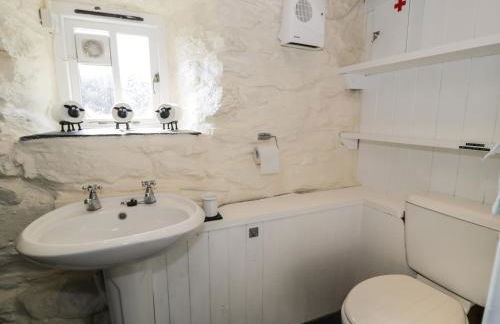 Old Ty'n Y Wern - Foto 20