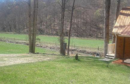 Tranquil Waters Cabin - Foto 21