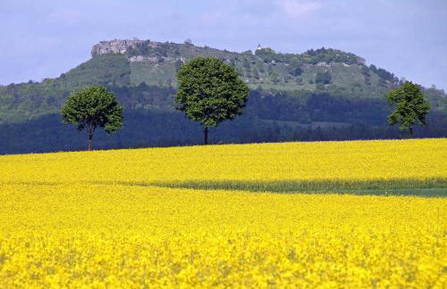 Ferienwohnung Haus Staffelbergblick - Foto 22
