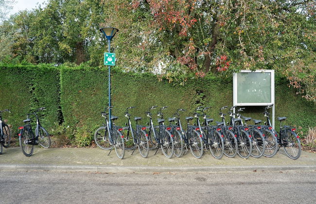 Chalet in Renesse Near Sandy Beaches - Photo 56