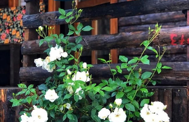 Zeytindagi Bungalow - Foto 53