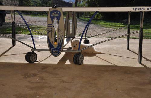 Agriturismo Tholos - Photo 66