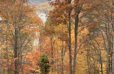 Cherokee Cabin-Cave Run Lake and Cliff Views-Red River Gorge - Foto 44