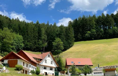 Holderstanzenhof - Foto 14