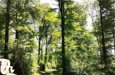 Steewer Landhaus gemütliche Ferienwohnung bis 6 Pers in ruhiger Ortsrandlage - Foto 33