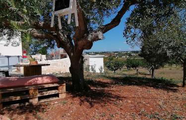 il borghetto in valle d'itria - Foto 58