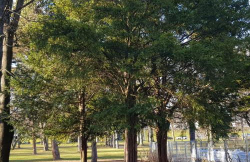 Apartment am Südpark Erfurt - inkl Garten mit Sitzlounge - zentrumsnah - Foto 44