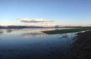 Arcobaleno Toscano - Foto 6