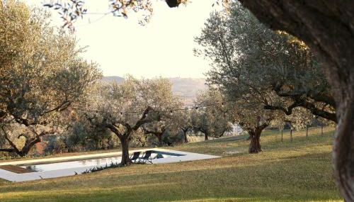 Modern House Among Spoltore Olive Trees - Foto 3