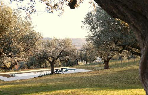 Modern House Among Spoltore Olive Trees - Foto 3