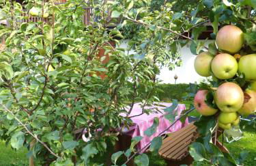 Haus Fellner**** - Foto 4