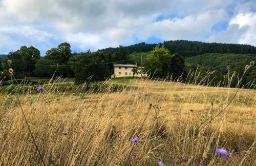 Il Borrino - Foto 15