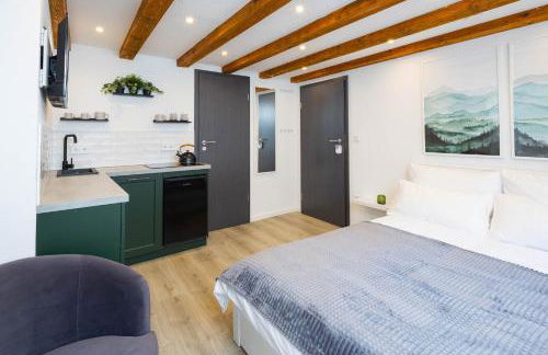 stadtmauer apartments - Neue helle Studio Wohnung direkt an der historischen Stadtmauer - Foto 3