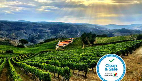 Quinta dos Espinheiros - Foto 3