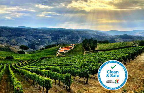 Quinta dos Espinheiros - Foto 3