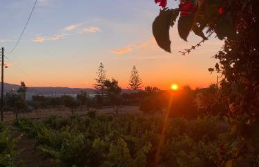 Vino suites - Foto 19