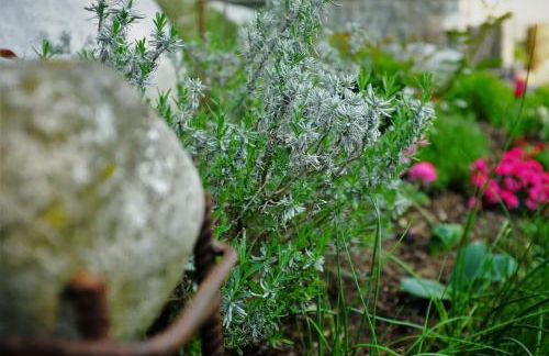 La Vista - Apartment mit Traumblick & Garten - Foto 45