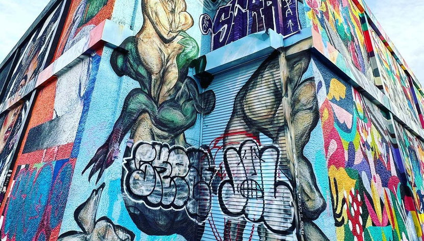Visite privée de Miami en minibus - Photo 3, Observez le street art de Miami