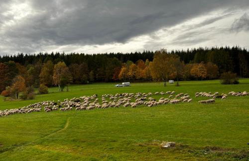 Ferienwohnung zum Lösershag Rhön - Foto 14