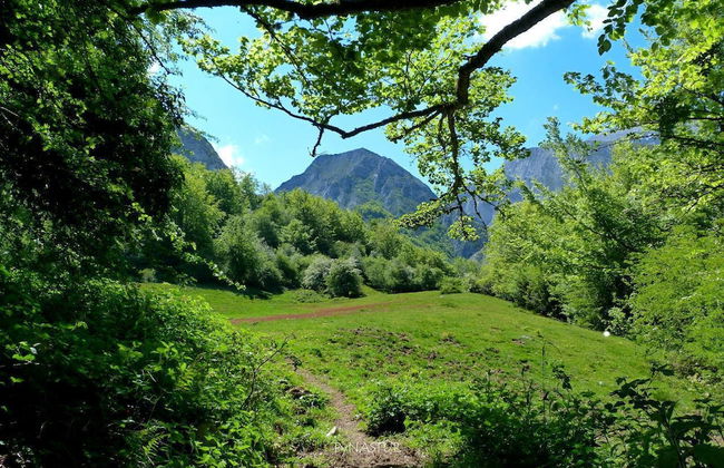 Alojamientos Rurales Valle de Bueida - Photo 73