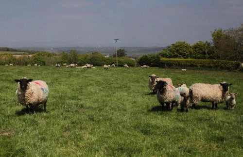 1 Bed in Umberleigh oc-55321 - Foto 20