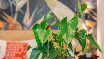 SMERALDO ACQUAMARINA Waterfront - Photo 5