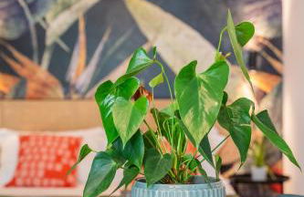 SMERALDO ACQUAMARINA Waterfront - Foto 5