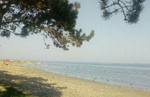 Chez Emile - Foto 50